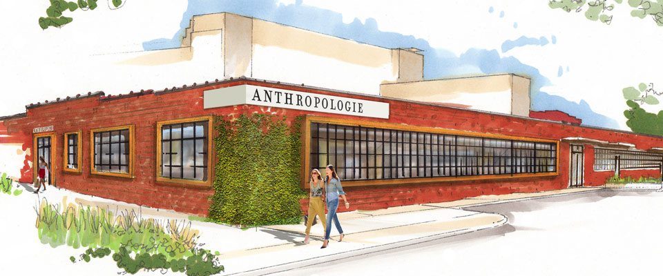 anthropologie-banner